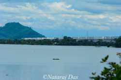 When Speculations Deceive You