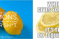 When life throws you lemons.....