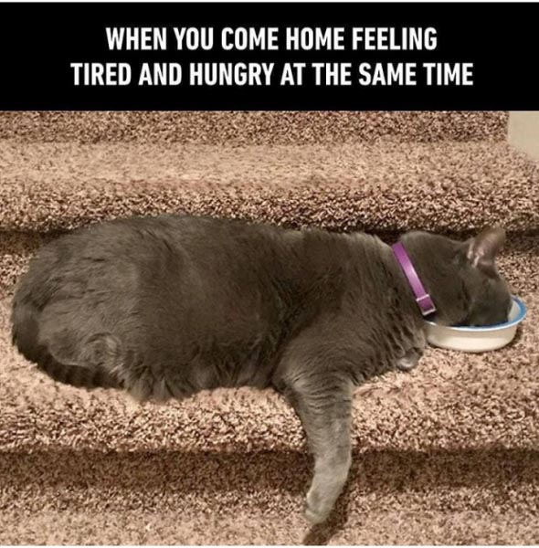 When Nostalgia Hits…