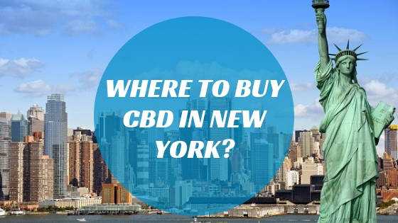 Where To Buy CBD In New York State?
