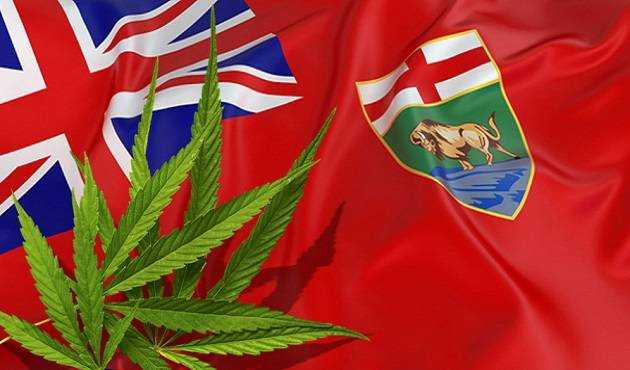 Where To Buy CBD Oil In Manitoba? CBD Oil In Winnipeg And Brandon