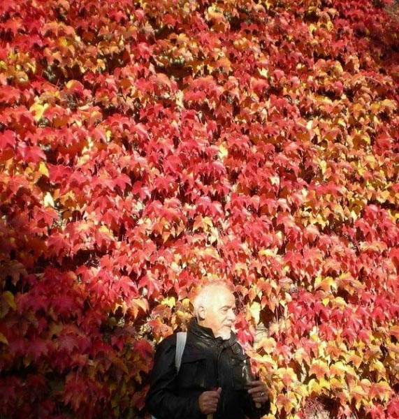 Where Are Those Days?