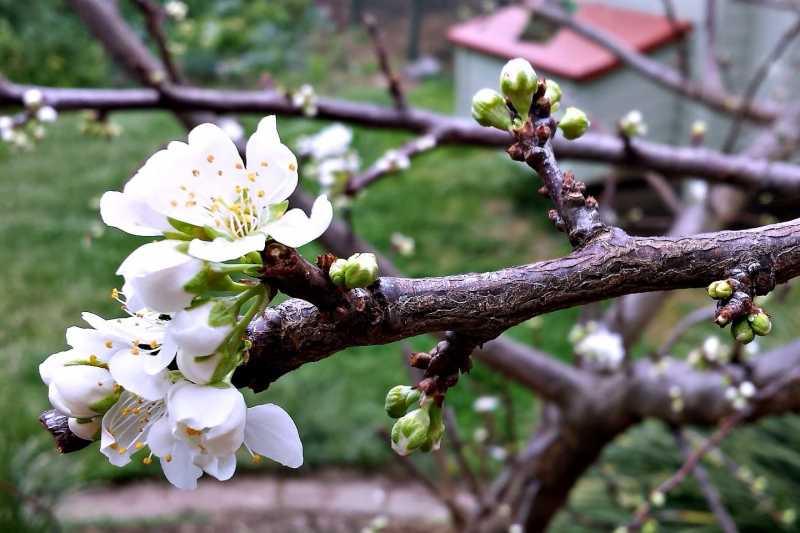 Where Everything Is Music