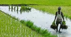 Where Is God, When Nature Unleashes Her Fury !