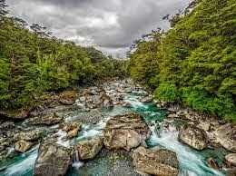 Where The River Flows, There Is Life! 