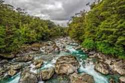 Where the river flows, there is life! 