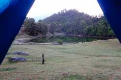 Where to stay nearby Chopta and some tips