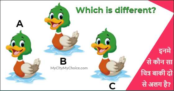 Which Is The Different Duck? #Image Puzzle | Puzzle Answer