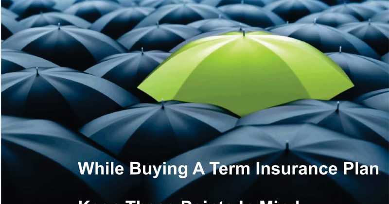 While Buying A Term Insurance Plan Keep These Points In Mind