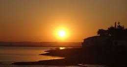 While The Narmada Gamboled