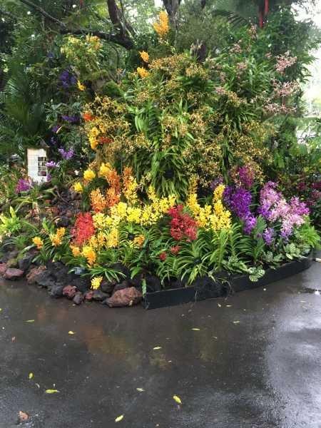 Whimsical Wanderings - May Day