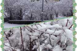 White flakes float, my dreams float along..