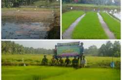 Who Will Crop My Food ?