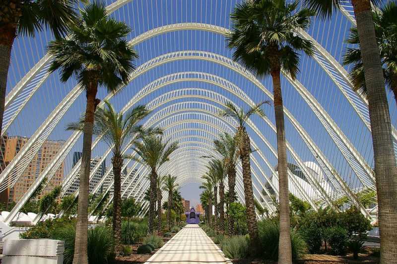 Who Is Santiago Calatrava? | Things To Do In Valencia