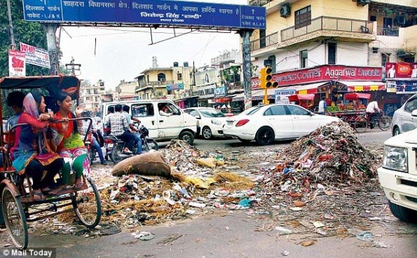 Who Is Responsible For Delhi’s Stink?