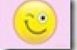 Who is the fake IPL Player ?