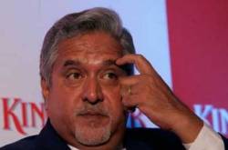 Who should pay for Vijay Mallya’s mistakes?