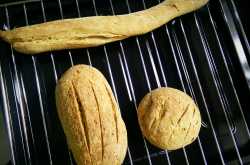 Whole wheat bewdi bread aka ‘Beer Bread’!