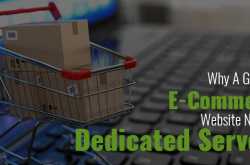 Why A Growing E-Commerce Website Needs A Dedicated Server?