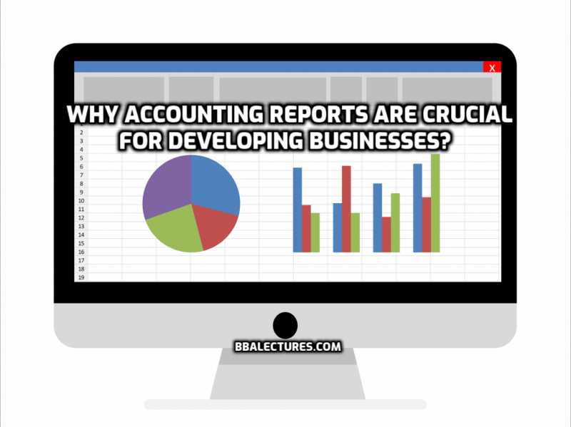 Why Accounting Reports Are Crucial For Developing Businesses? - BBA Lectures