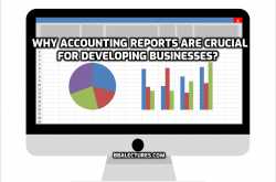 Why Accounting Reports Are Crucial For Developing Businesses? - BBA Lectures