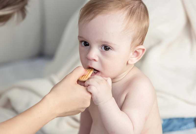 Why Are Biscuits Bad For Babies - Reasons To Avoid Them