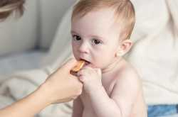 Why Are Biscuits Bad For Babies - Reasons To Avoid Them