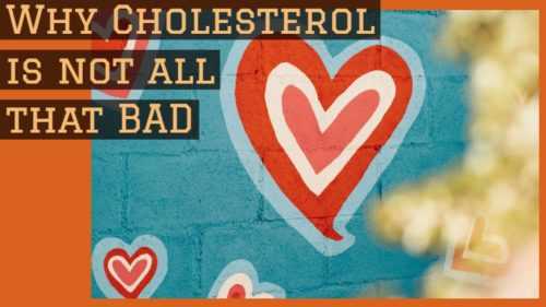 Why Cholesterol Is Not All That BAD
