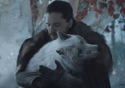 Why Ghost, The Best Boy In Game Of Thrones, Deserved A Better Goodbye?