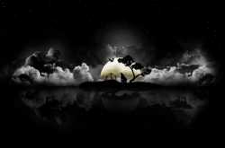 Why I am a ‘Night’ezen