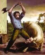 Why I Became A Vegetarian?