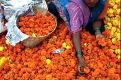 Why I love India (series)