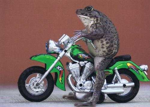 Why I Love Postcrossing! 