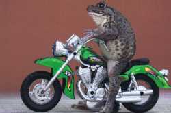 why i love postcrossing! 