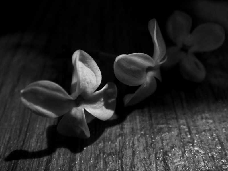 Why I Make Such A Terrible Friend