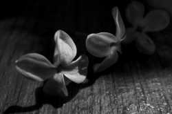 why i make such a terrible friend