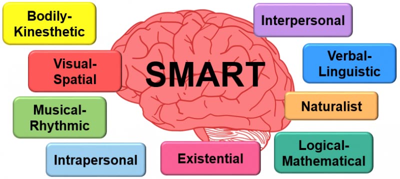 Why Multiple Intelligences? - Mommy Mojo