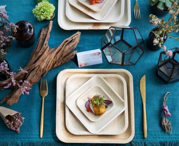 Why There Is A Need To Switch To Biodegradable Plates From Plastic Disposable Plates