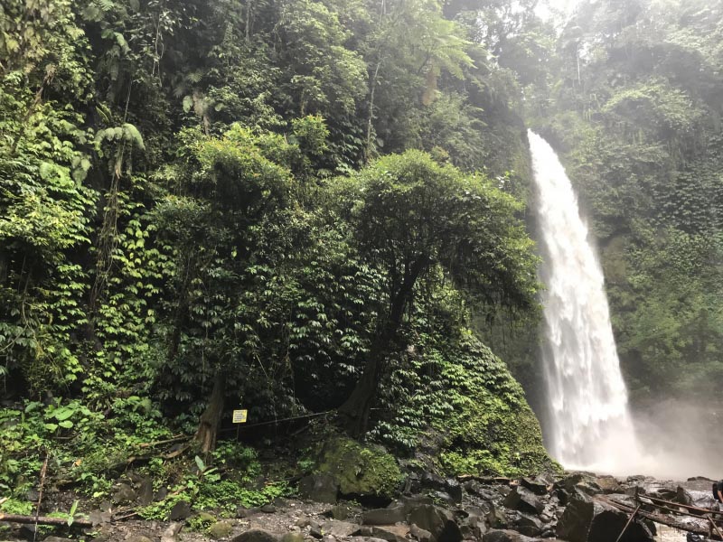 Why Ubud In Bali Is A Must See Destination