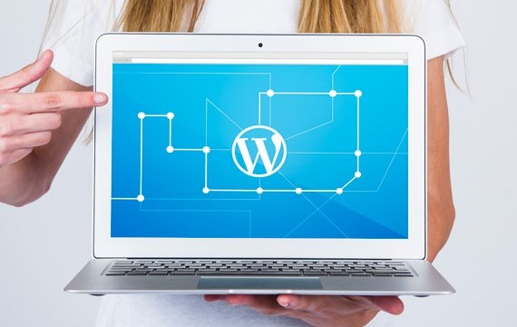 Why Using WordPress For Your Business Website Makes Sense - Priority Pixels