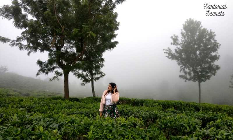 Why You Should Stay At Sterling Ooty Fern Hill | Sartorial Secrets