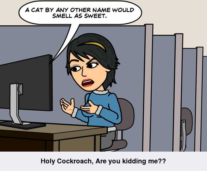 Why Aren’t We Talking About Cockroaches?