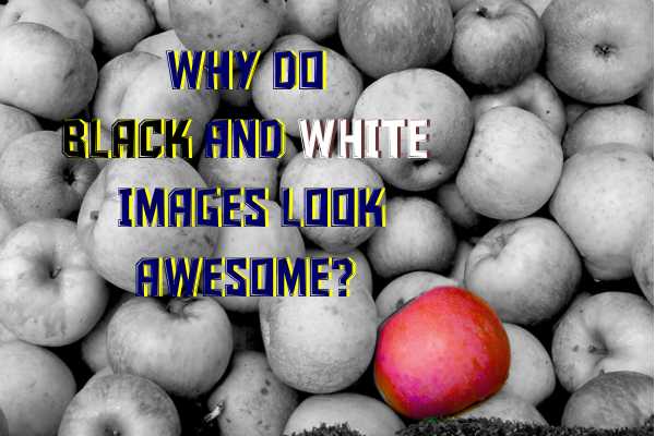 Why Do Black And White Images Look Awesome?