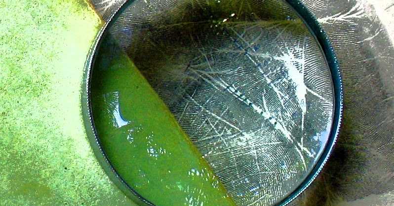 Why Do You Want To Know Your Future?