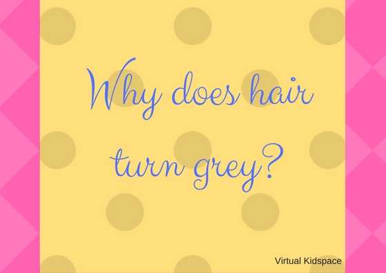 Why Does Hair Turn Grey?