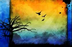 Why does nostalgia \