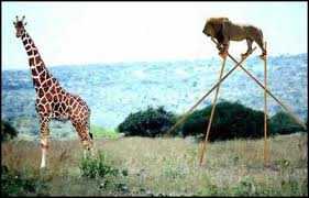 Why Should Only Necessity Be The Mother Of Invention!?