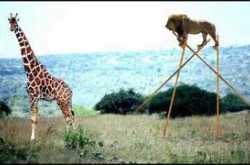 why should only necessity be the mother of invention!?