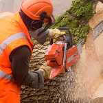 Why To Employ Expert Tree Elimination Specialist Services?