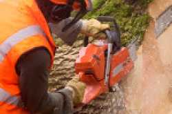 Why to employ expert tree elimination specialist services?